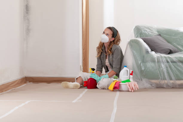 Reliable Mold Remediation contractor in Red Bank, TN by WQB Mold Removal